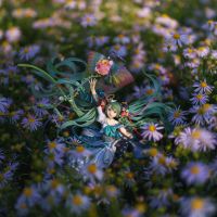 我就是光芒所在之处