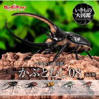 生物大图鉴 甲虫 8