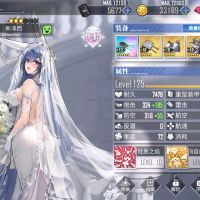 APEX 新泽西 到货渣拍