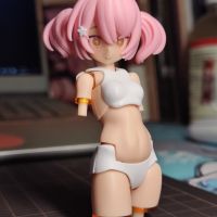 寿屋女神装置26 PUNI✩MOFU猫猫 素体