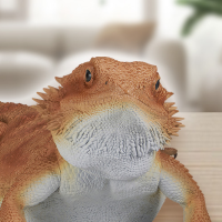 一番赏 爬行动物和两栖动物 ～小小的伙伴～ A奖 鬃狮蜥玩偶