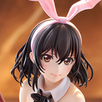 噬血狂袭 姬柊雪菜 兔女郎风格