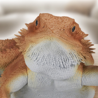 一番赏 爬行动物和两栖动物 ～小小的伙伴～ 最终大奖 鬃狮蜥玩偶 挥臂