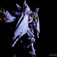 【2024年终总结】拼胶从入门到吃土