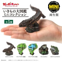 生物大图鉴 迷你系列 两栖类