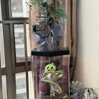 【2024年终总结】飞得更高～