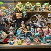 【2024年终总结】记录一下今年的手办