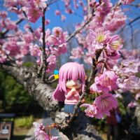 【2024年终总结】