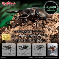 进化生物大图鉴 南洋大兜虫 展示架套装