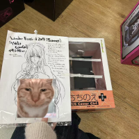 今天出的几个，mark