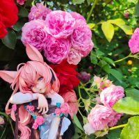 两张夏天的存货