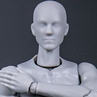 DAMTOYS 1/12 可动人形 “灰人”-NO.DPS11