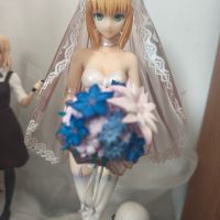 命运之夜 Saber ～TYPE-MOON10周年皇室礼服～