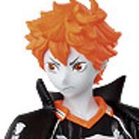 排球少年 造型師×写真家 B款 日向翔陽（特别配色版）