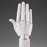 艺术参考工具 手部模型 男/右手 -白色-