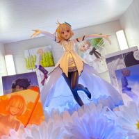 月姬这款原价入我感觉还是不亏