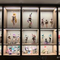 【2024年终总结】入坑第一年