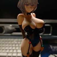 到货还挺快，整体中规中矩