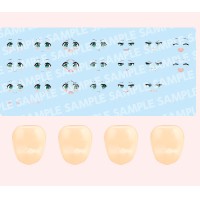 创彩少女庭园 自定义脸部 与 水贴套装 第4弹 【森仓圆设计】