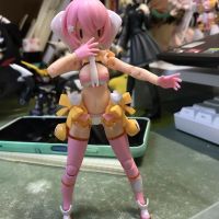 猫猫新衣服到啦:)