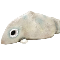 1/6特摄系列 二次元怪兽 加巴顿（A型）