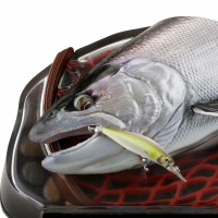 STRIKE FANTASY 禧玛诺 樱鳟