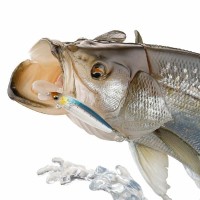 STRIKE FANTASY 禧玛诺 鲈鱼