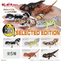 爬行生物大图鉴 精选版