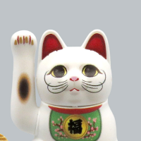 普利普拉 招财猫 ～福之介的场合～