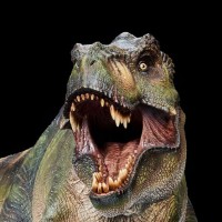 侏罗纪公园：失落的世界 雄性暴龙 1/35树脂雕像