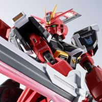 METAL ROBOT魂 ＜机动战士系列＞ 巨剑型脉冲高达规格二