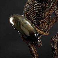 展览馆线XL 异形3 异形狗