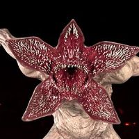 怪奇物语 狄摩高根