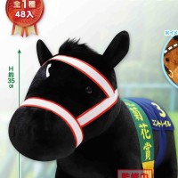 名马收藏柔软BIG（铁鸟翱天）