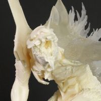 东宝30厘米系列 模型套件 新世纪福音战士初号机 红莲哥斯拉觉醒形态