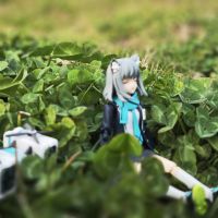 春夏交接的时候