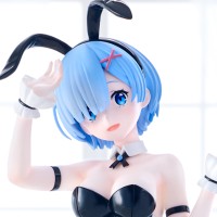 BiCute Bunnies Re：从零开始的异世界生活 雷姆·bicolor