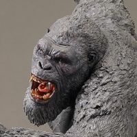 金刚 2024（迷你金刚流星锤版）