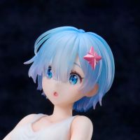 Re：从零开始的异世界生活 雷姆 AxA -水瓶座-