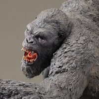 金刚2024（战斧版）