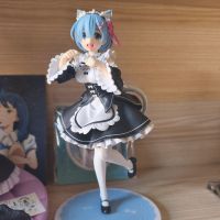 每日一问什么时候醒