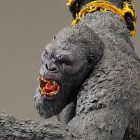 金刚2024（机械手套版）