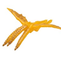 电影怪兽系列 基多拉