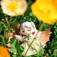 “是变出花田的魔法”