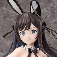 B-style  虽然是工会的柜台小姐，但因为不想加班所以打算独自讨伐迷宫头目 亚莉纳·可洛瓦 兔女郎