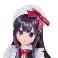 POD051-HVR Colorful Dreamin'/仙境里的叶鸟心音1.1 （黑醋栗巧克力）