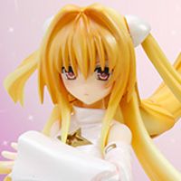 S.H.Figuarts 金色暗影（白色变装版）