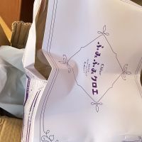 无敌了双翼，极兔