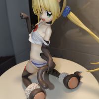 都没人分享实物图，自己拍几张