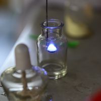 懒得修图，全直出了，看看尼康の力